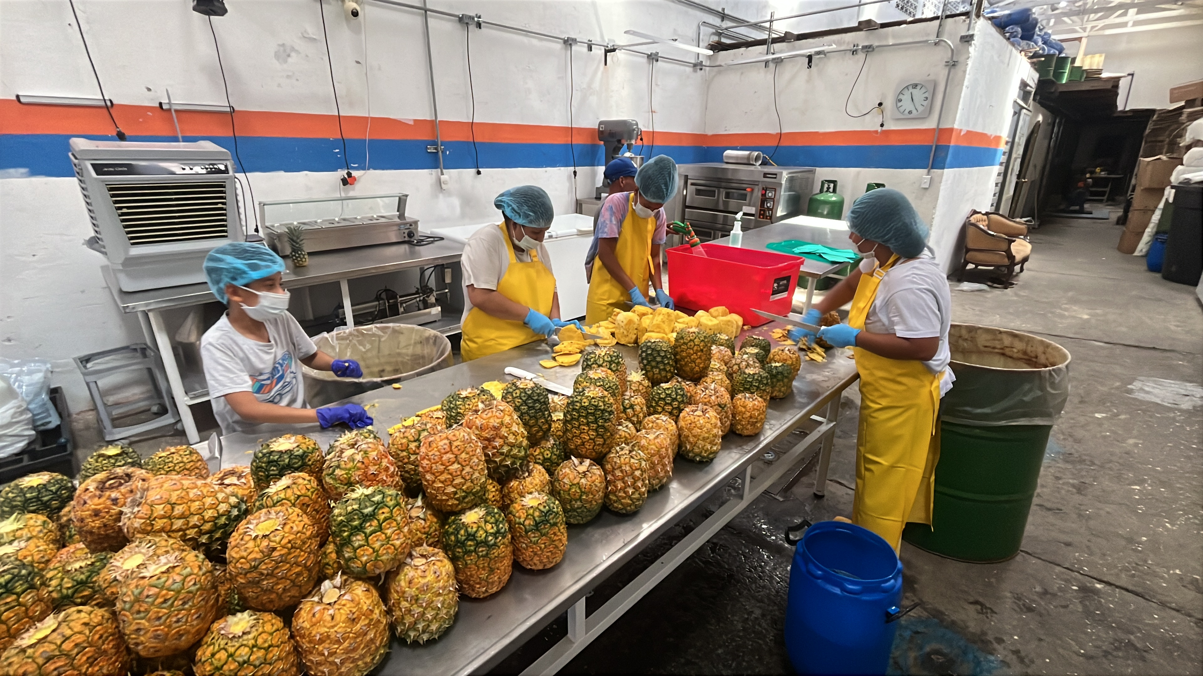 Pulpa de fruta Dorado División